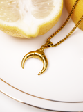 Crescent Horn Necklace - Short-chain necklace with a crescent pendant, moon necklace, basic gold chain by SOLÉITE