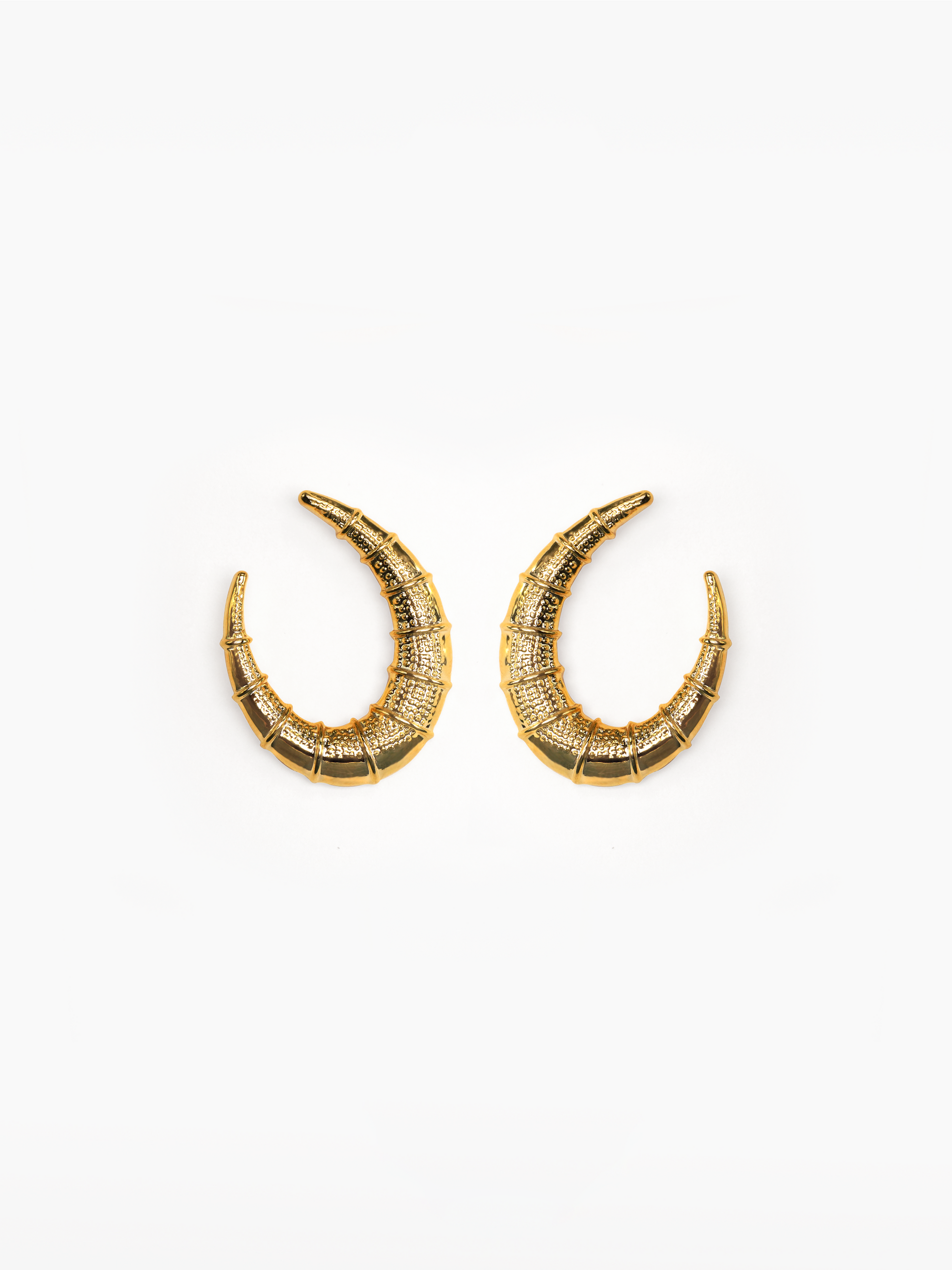 Ombra Earrings