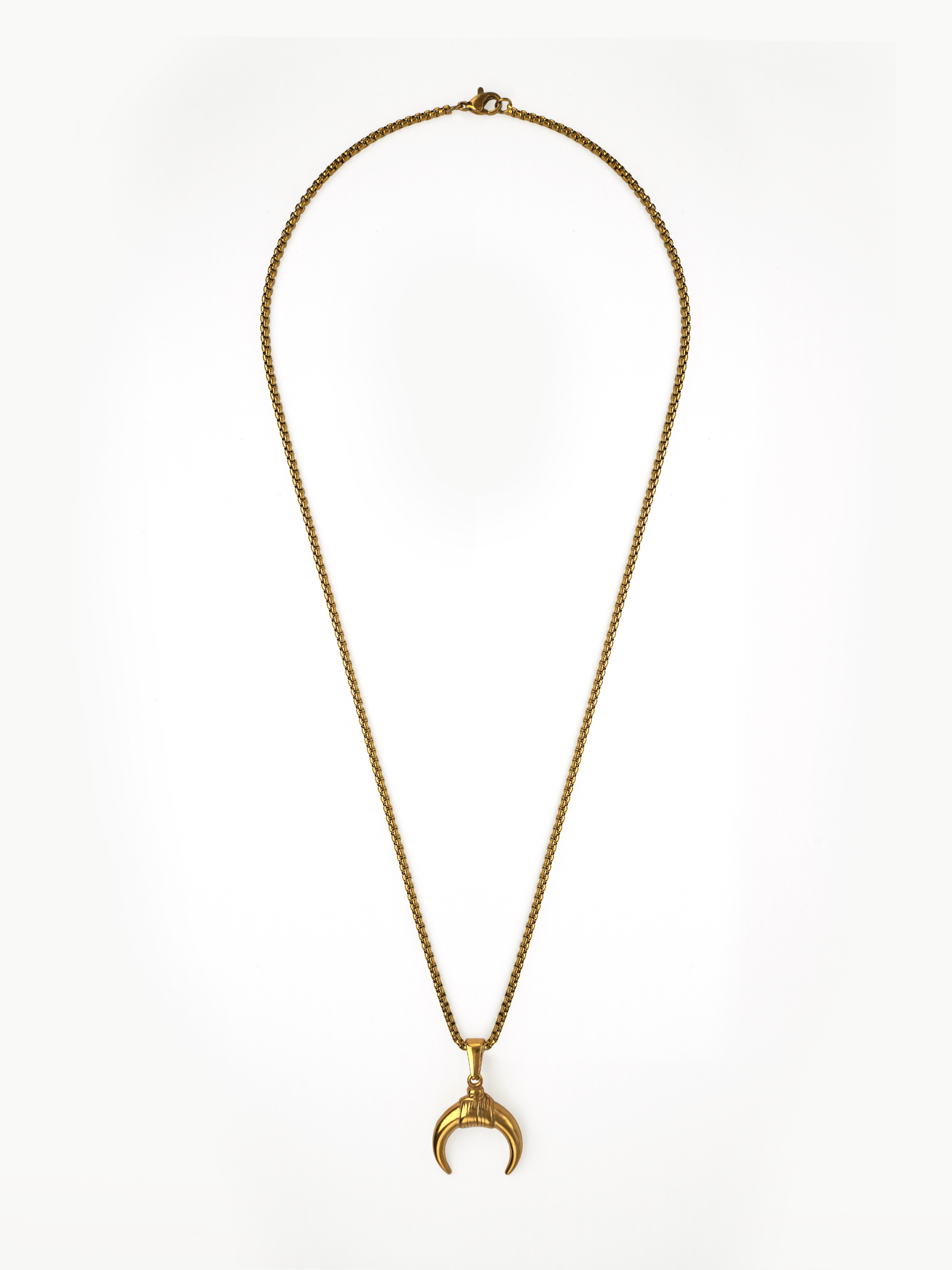 Crescent Horn Necklace