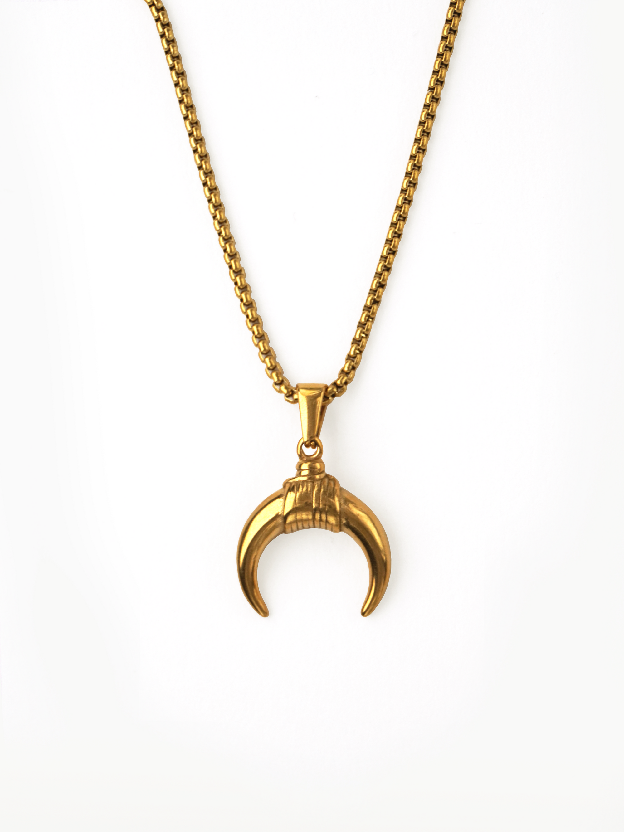 Crescent Horn Necklace